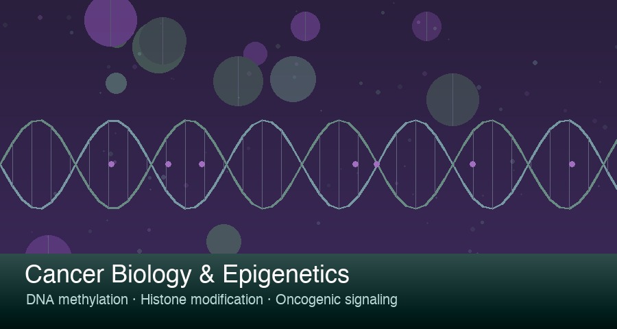 Cancer Biology & Epigenetics